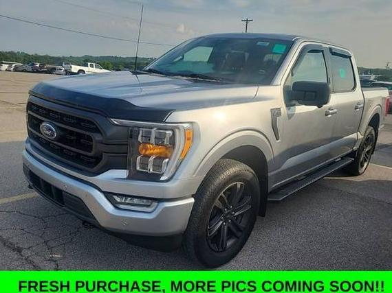 FORD F-150 2022 1FTEW1EP2NFA63511 image