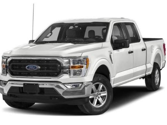 FORD F-150 2022 1FTEW1CP5NKF24310 image