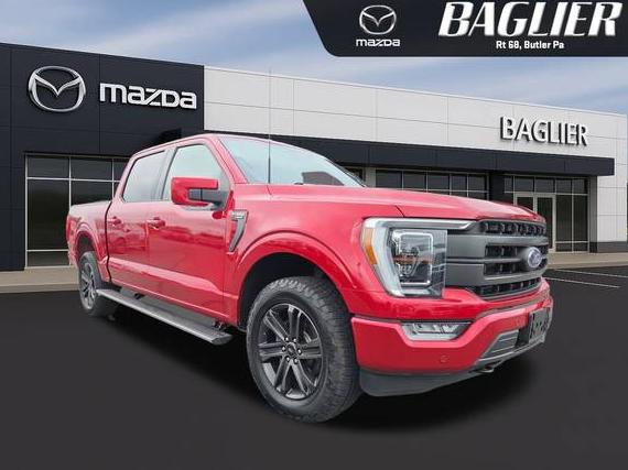 FORD F-150 2022 1FTEW1EP4NFA74901 image