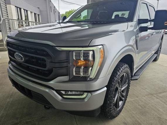 FORD F-150 2022 1FTEW1EP1NKD60776 image