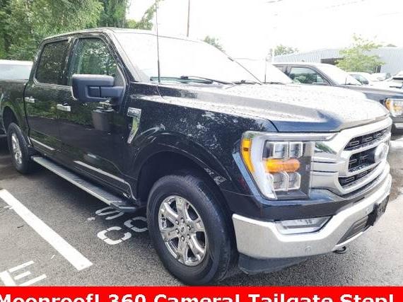 FORD F-150 2022 1FTFW1E81NFB06183 image