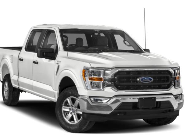 FORD F-150 2022 1FTEW1EP1NKD72295 image