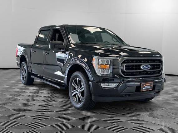 FORD F-150 2022 1FTFW1E83NKF22016 image