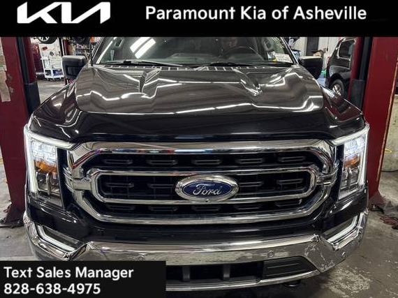 FORD F-150 2022 1FTEW1EP8NKD88168 image