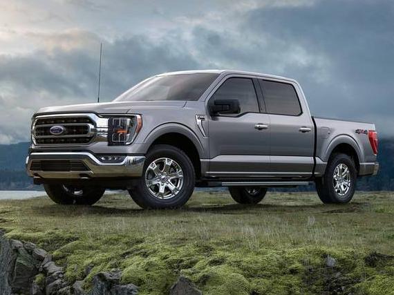 FORD F-150 2022 1FTEW1CP0NFA66930 image