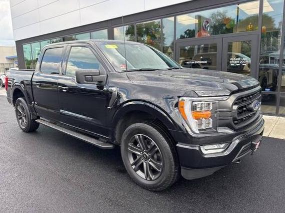 FORD F-150 2022 1FTEW1EP8NKD60709 image