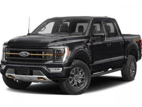 FORD F-150 2022 1FTEW1E84NFA26467 image