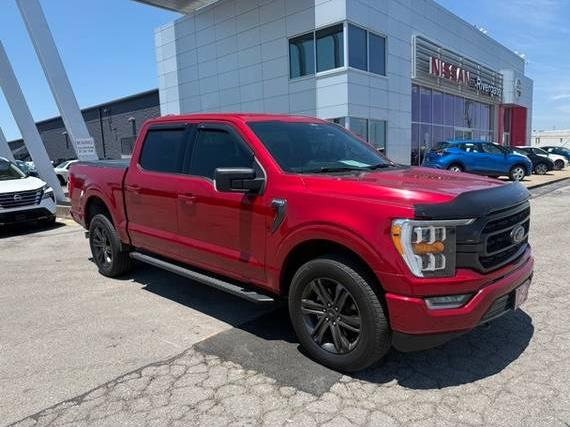 FORD F-150 2022 1FTFW1E55NKE05169 image