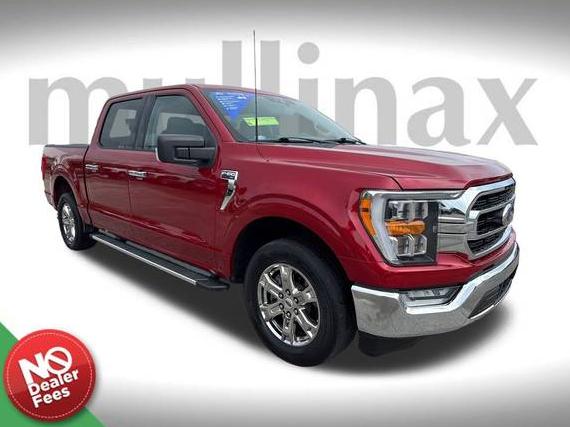 FORD F-150 2022 1FTEW1CP0NKD55006 image