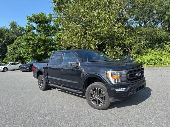 FORD F-150 2022 1FTFW1E87NFB28060 image