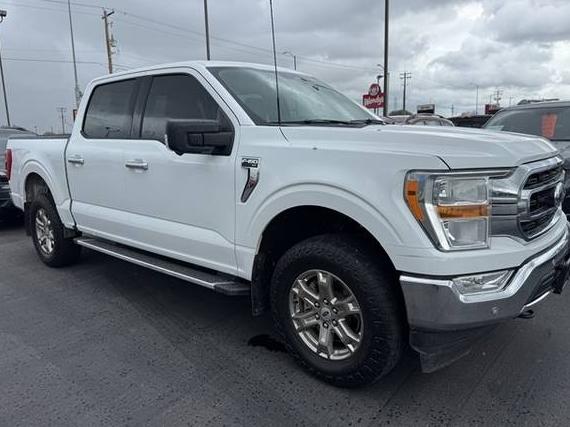 FORD F-150 2022 1FTFW1E55NFA18193 image