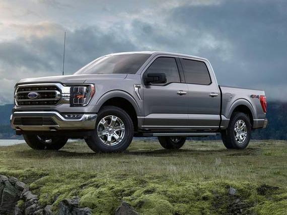 FORD F-150 2022 1FTMF1E56NKD96084 image