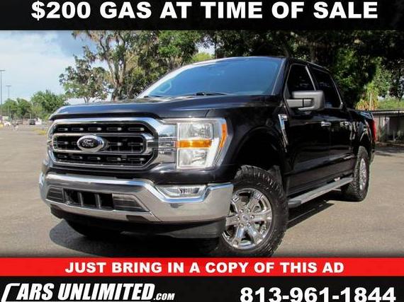 FORD F-150 2022 1FTEW1CPXNKD92340 image