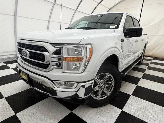FORD F-150 2022 1FTFW1E59NKD13644 image