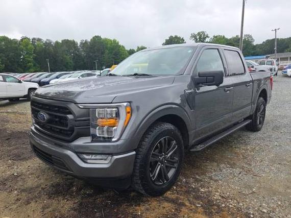 FORD F-150 2022 1FTEW1C50NKF21877 image