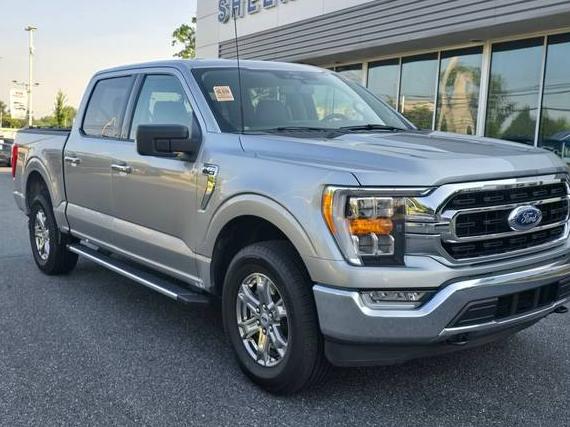 FORD F-150 2022 1FTEW1EP3NFB32240 image