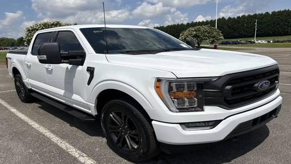 FORD F-150 2022 1FTEW1EP2NFB46095 image