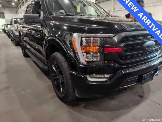 FORD F-150 2022 1FTFW1E83NFB52436 image
