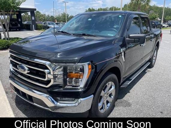 FORD F-150 2022 1FTEW1CP8NKD54993 image