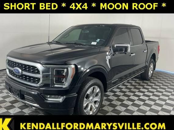 FORD F-150 2022 1FTFW1ED9NFB34469 image