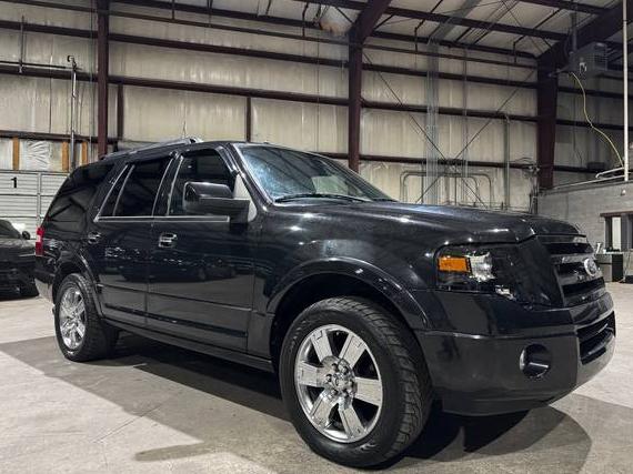 FORD EXPEDITION 2010 1FMJU1K58AEA81479 image