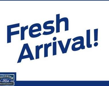 FORD TRANSIT 2023 1FDAX2Y88PKA49236 image