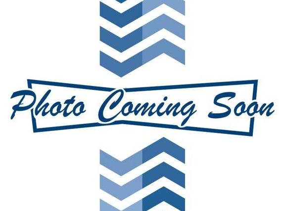 FORD TRANSIT 2018 1FBZX2XG3JKB01299 image