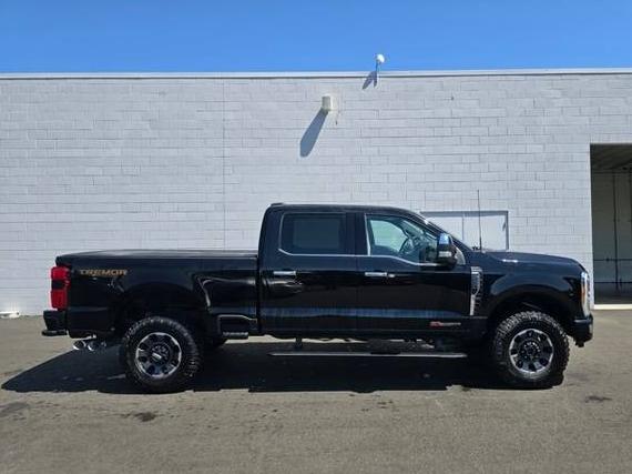 FORD F-250 2023 1FT8W2BMXPED98621 image