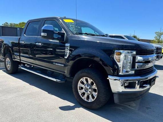 FORD F-250 2019 1FT7W2BT7KEC79629 image
