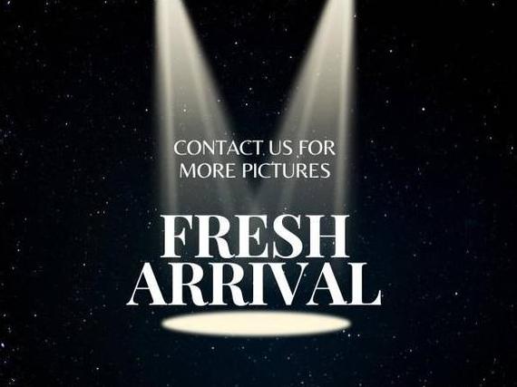 FORD F-250 2004 1FTNW20P54ED56899 image