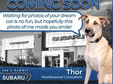 FORD EDGE 2024 2FMPK4K91RBA93484 image FORD EDGE 2024 2FMPK4K91RBA93484 image