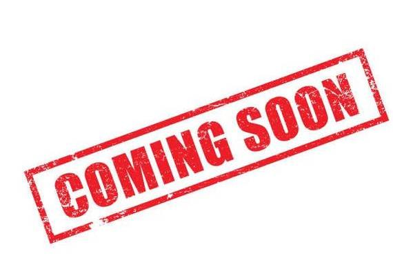 LEXUS RX 2020 JTJJZKEA5L2016000 image