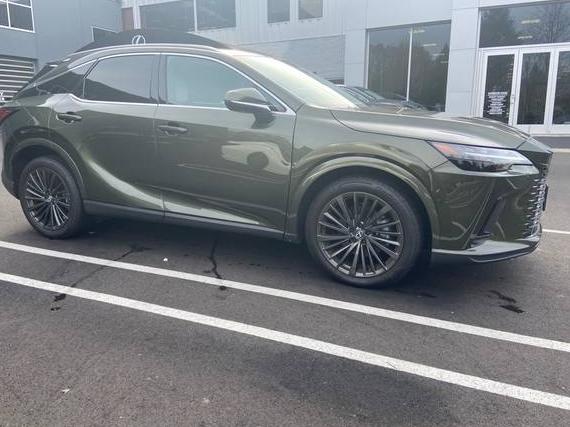 LEXUS RX 2025 2T2BAMCA3SC091741 image LEXUS RX 2025 2T2BAMCA3SC091741 image