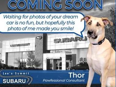 LEXUS UX 2019 JTHU9JBHXK2001680 image