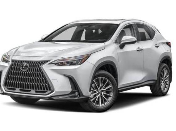 LEXUS NX 2023 2T2AKCEZ6PC014536 image