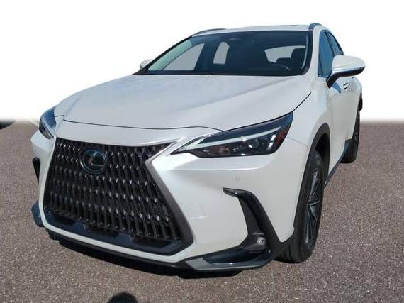 LEXUS NX 2023 JTJGDCAZ6P5010169 image LEXUS NX 2023 JTJGDCAZ6P5010169 image