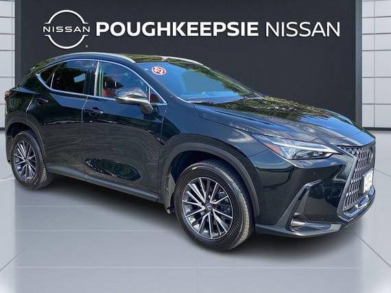 LEXUS NX 2023 2T2GGCEZXPC028287 image