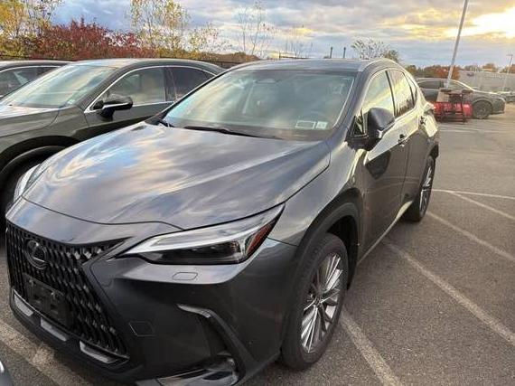 LEXUS NX 2023 2T2HGCEZ3PC025834 image
