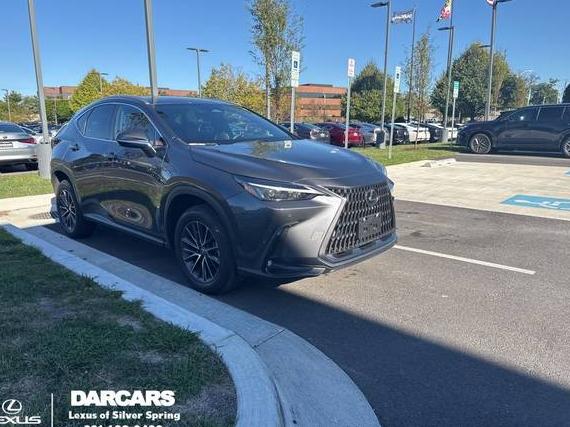LEXUS NX 2023 2T2GDCAZXPC004439 image