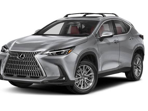 LEXUS NX 2023 2T2HGCEZ2PC027784 image