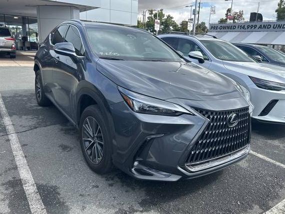 LEXUS NX 2023 2T2GGCEZ1PC024533 image