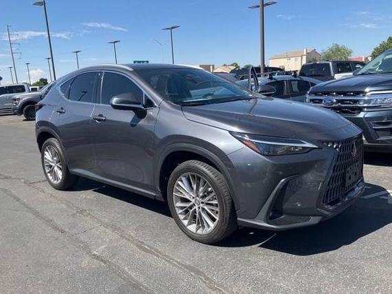 LEXUS NX 2023 2T2HGCEZ2PC028112 image