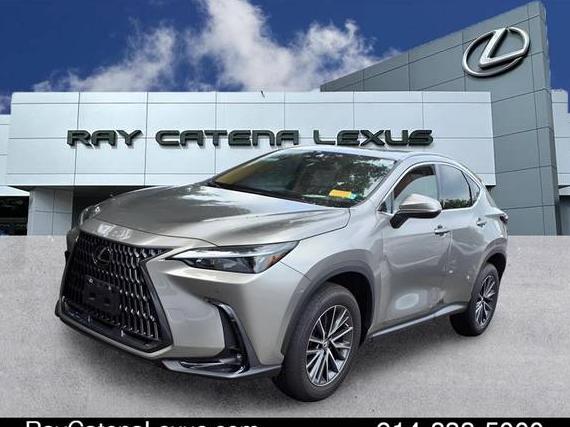 LEXUS NX 2023 2T2GGCEZ8PC016686 image