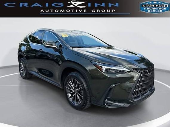 LEXUS NX 2023 2T2GGCEZ4PC023165 image