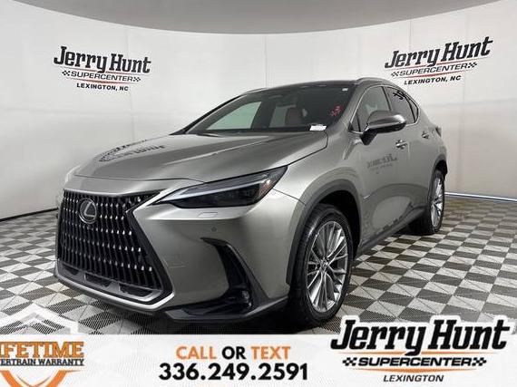 LEXUS NX 2023 2T2HGCEZ9PC025109 image