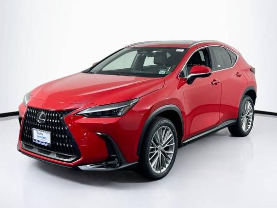 LEXUS NX 2023 2T2GKCEZ4PC010589 image