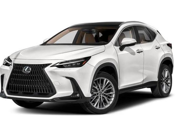 LEXUS NX 2023 2T2HKCEZ8PC011197 image