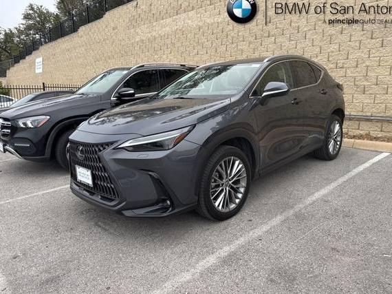 LEXUS NX 2023 2T2HGCEZ0PC025564 image LEXUS NX 2023 2T2HGCEZ0PC025564 image