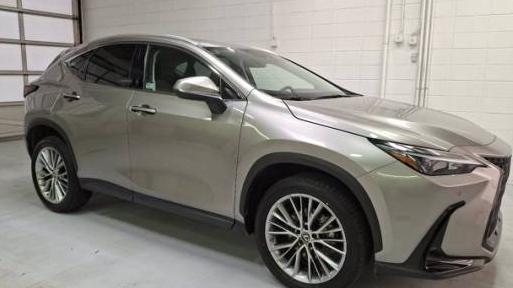 LEXUS NX 2023 2T2GKCEZ2PC010641 image