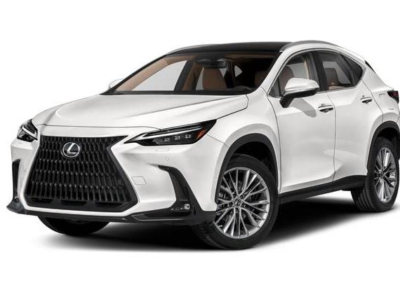 LEXUS NX 2023 2T2HKCEZ5PC014591 image